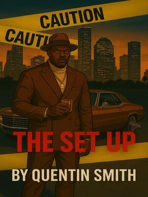 cover image of The Set Up